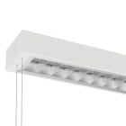 Unilamp - SWITCH ACTIVA 1300 SD 3/4K R RASTER 5000LM M/OPPHENG