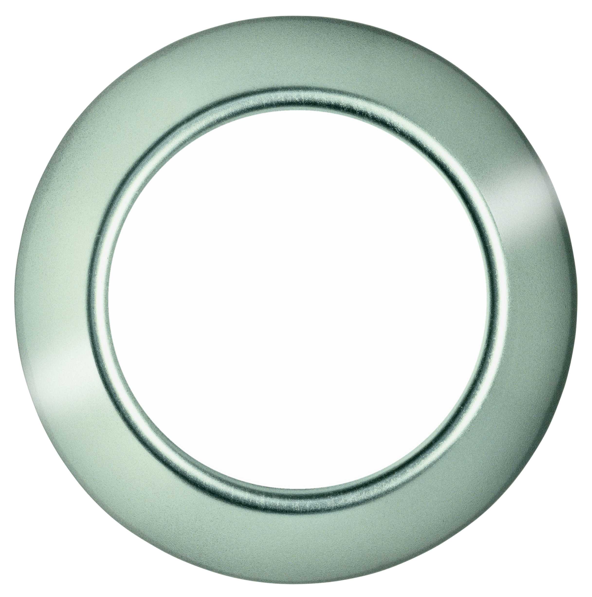 Schneider Electric - Renova - Enkelramme - Rustfri