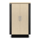 APC by Schneider Electric - NetShelter CX 24U Secure Sound