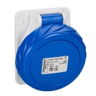 Schneider Electric - PratiKa stikkontakt - fast - vinklet - 16 A - 3P + E - 200...250 V AC - panel