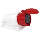 Schneider Electric - PratiKa stikkontakt - fast - vinklet - 32A - 3P + E - 380...415 V AC - vegg