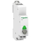 Schneider Electric - A9E18036 Trykkn. iPB 1NO grå/grø <230VAC