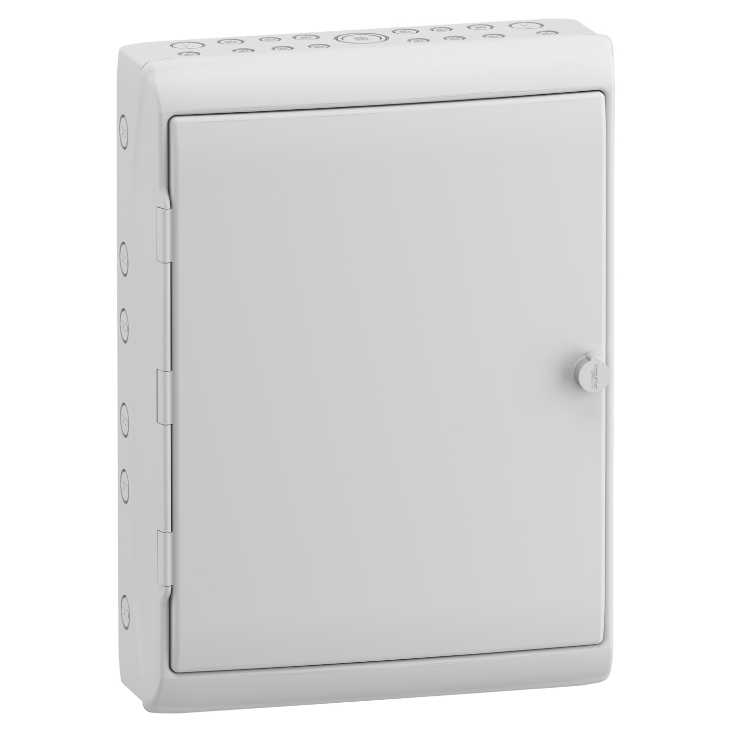 Schneider Electric - Kaedra - apparatskap - 448 x 610 mm - 17 utsnitt