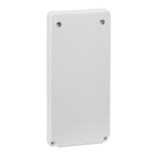 Schneider Electric - 13143 Plate f/75x75/65x65/2x22mm