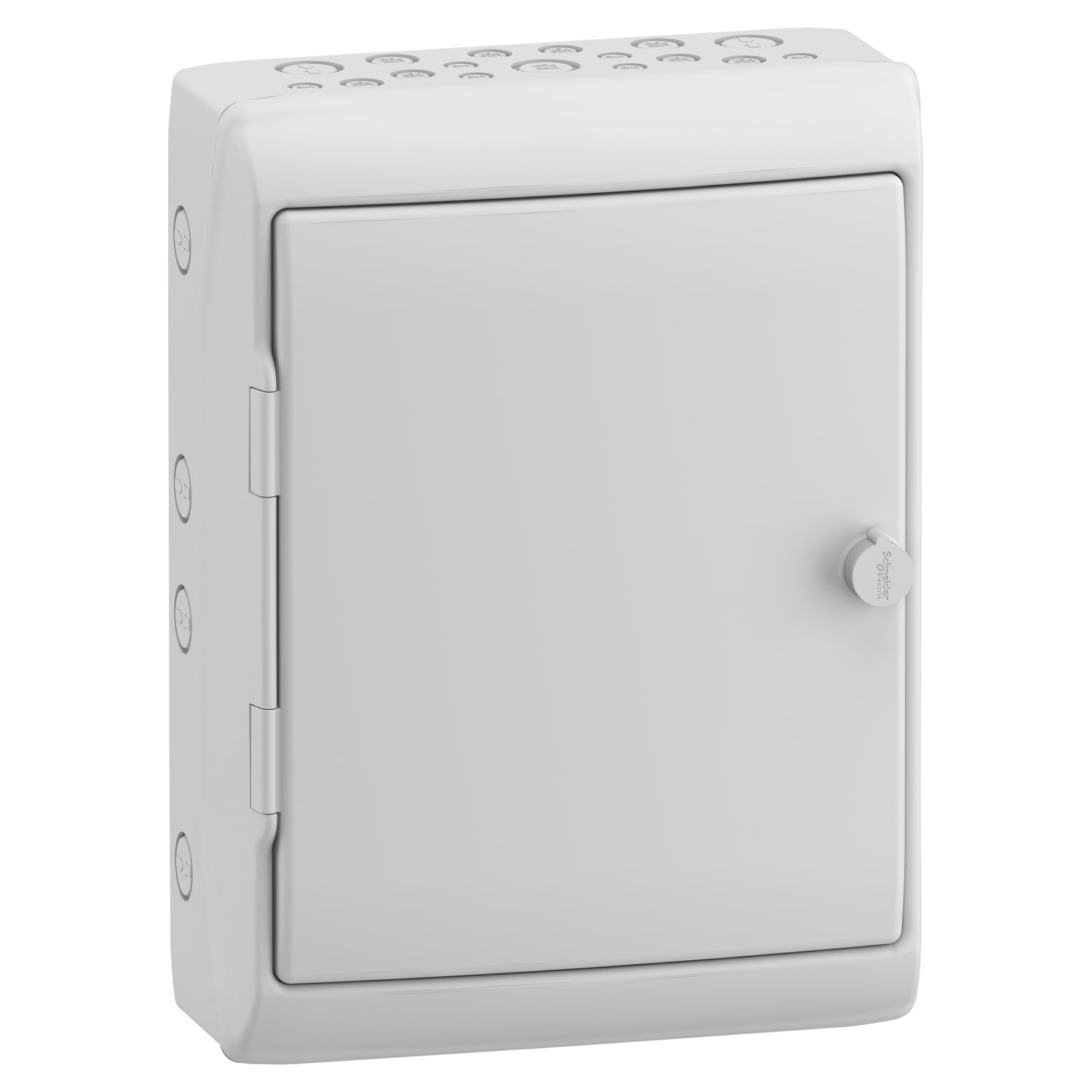 Schneider Electric - Kaedra - apparatskap - 340 x 460 mm - 17 utsnitt