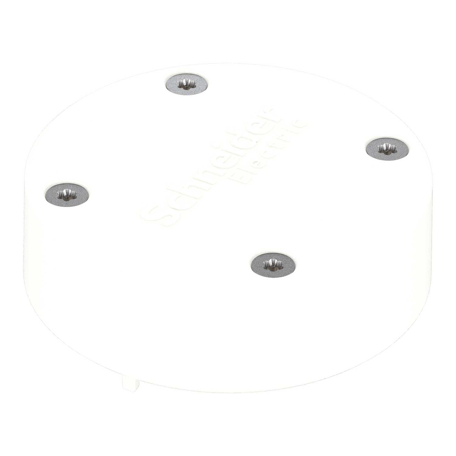 Schneider Electric - Grenstav endestykke Hvit