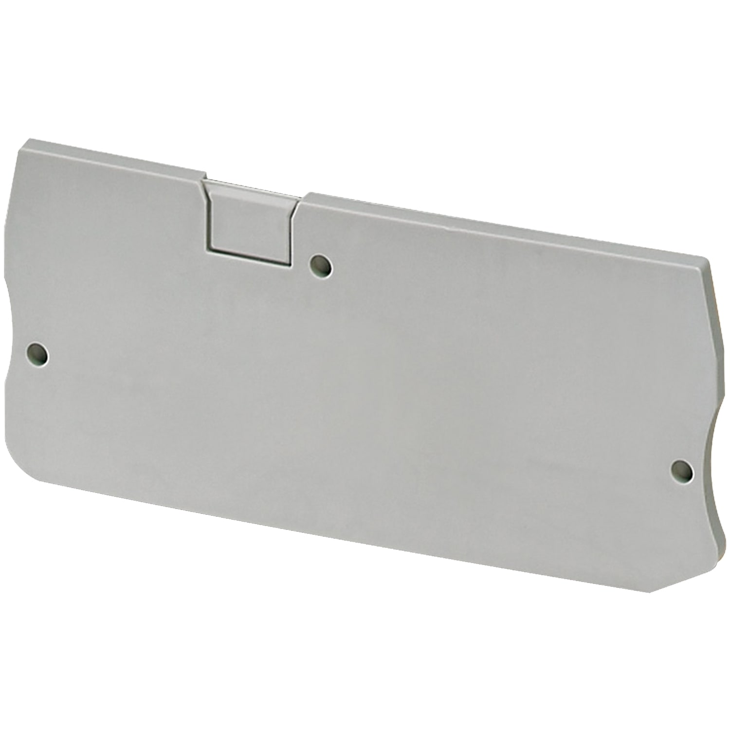 Schneider Electric - Endeplate