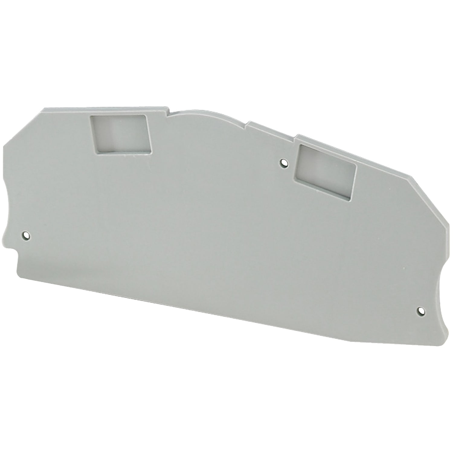 Schneider Electric - Endeplate for NSYTRV62TT