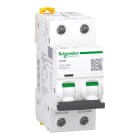 Schneider Electric - iC60L - Automatsikring - 2P - 40A - B-kurve - I2=1,3
