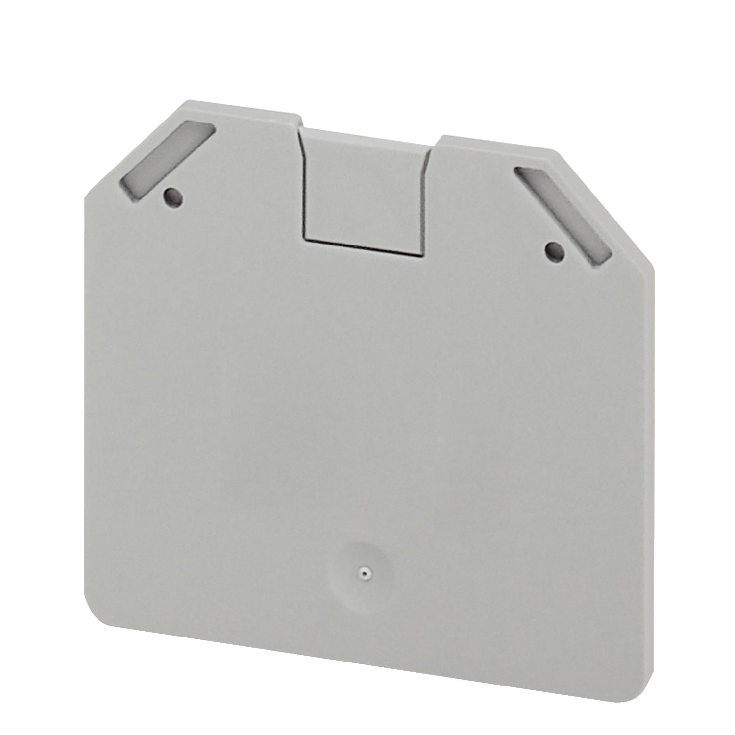Schneider Electric - Endeplate for NSYTRV162