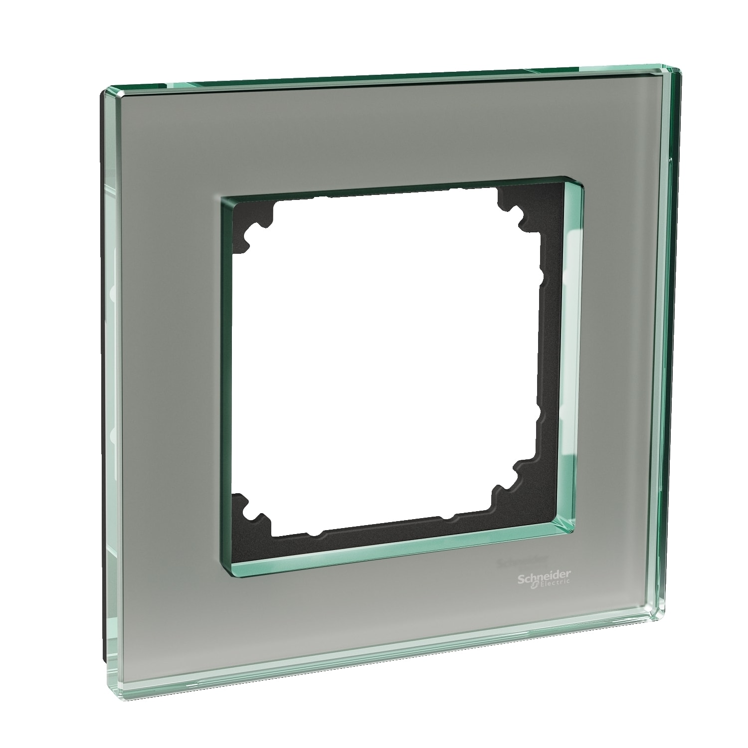 Schneider Electric - Exxact Solid et hulls glassramme titan