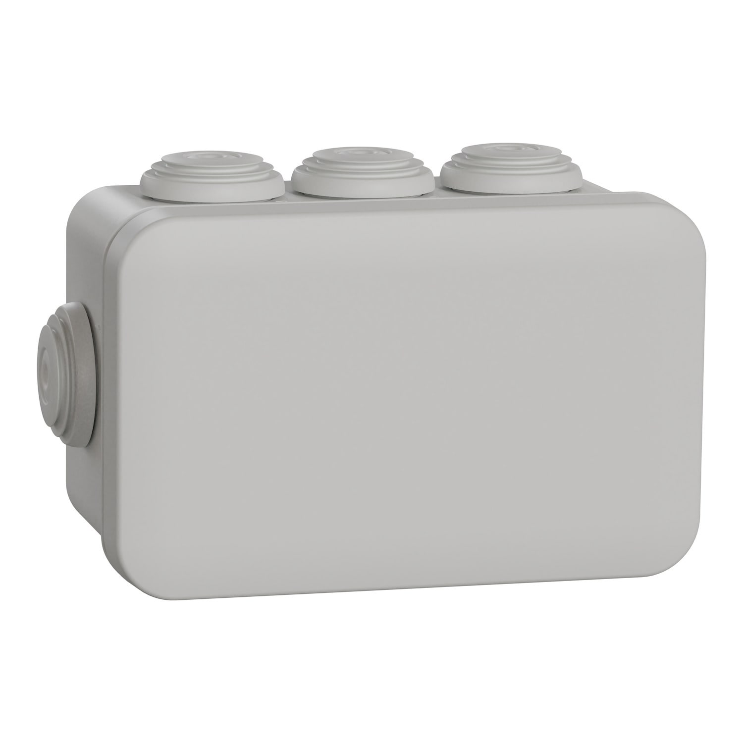 Schneider Electric - Mureva Box, boite de dérivation IP55 + embouts 105x65x55, gris