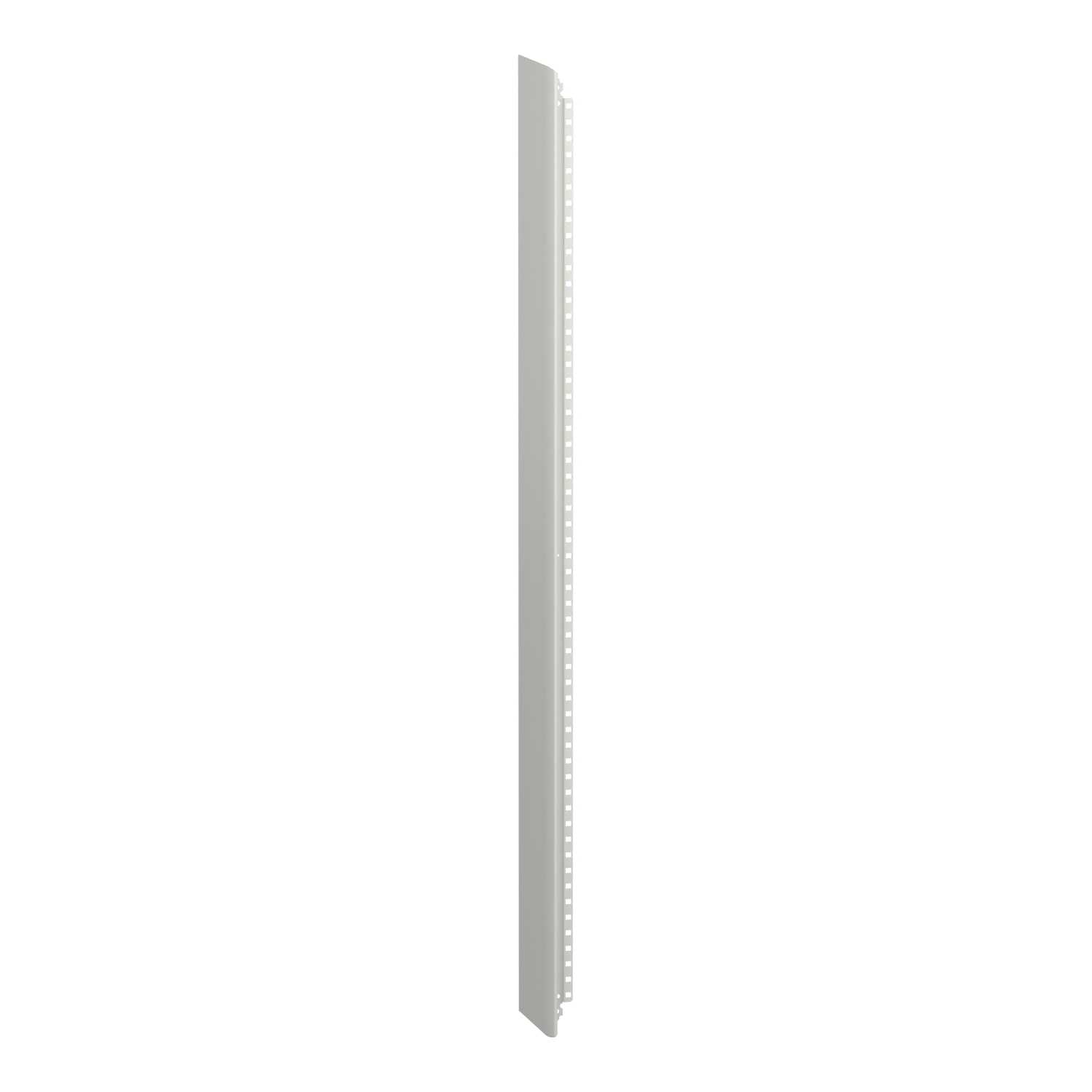 Schneider Electric - Sideplate PrismaSeT G IP30 30M LVS01034