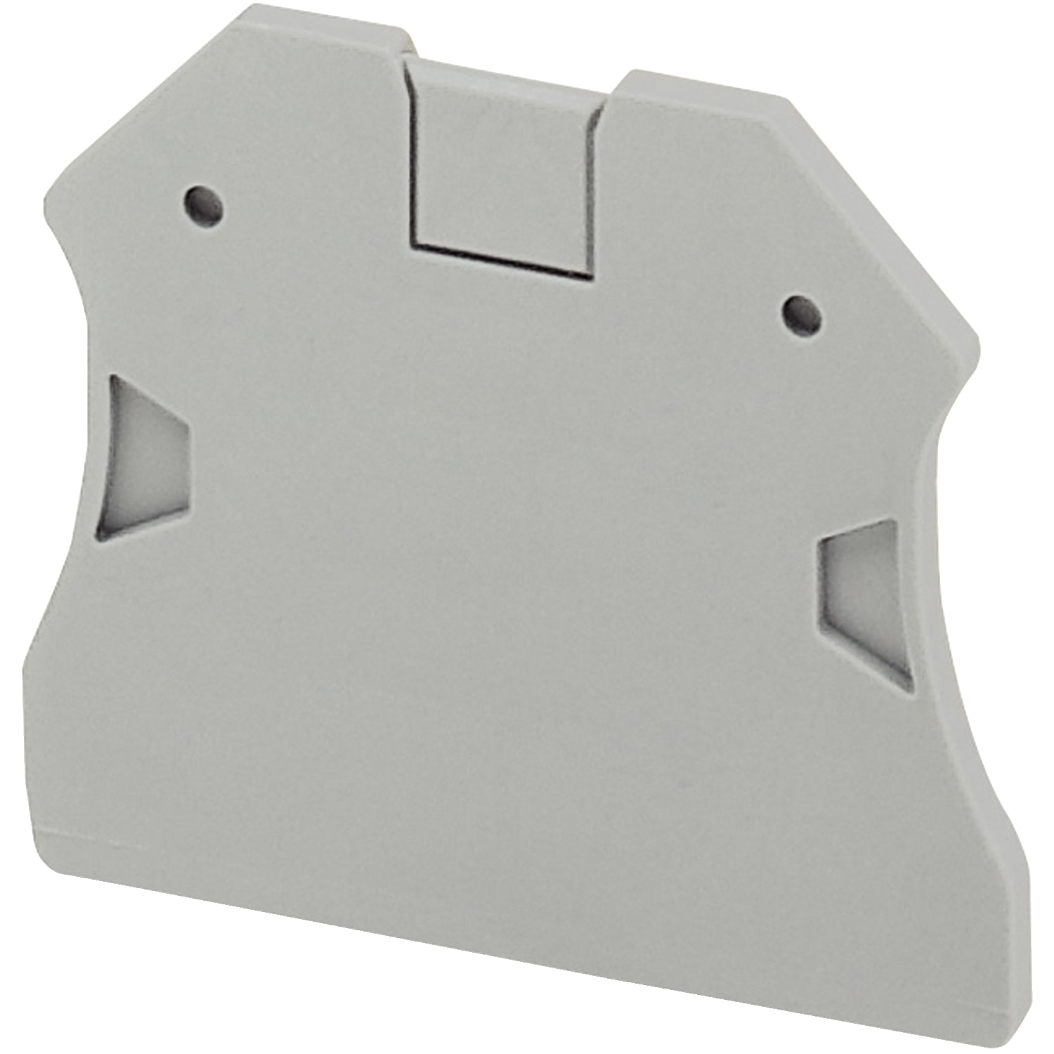 Schneider Electric - Endeplate for skru klemmer