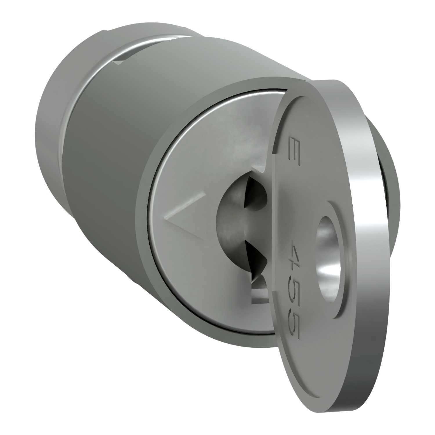 Schneider Electric - Låssylinder-Ronis2433A-2 nøkl LVS07944