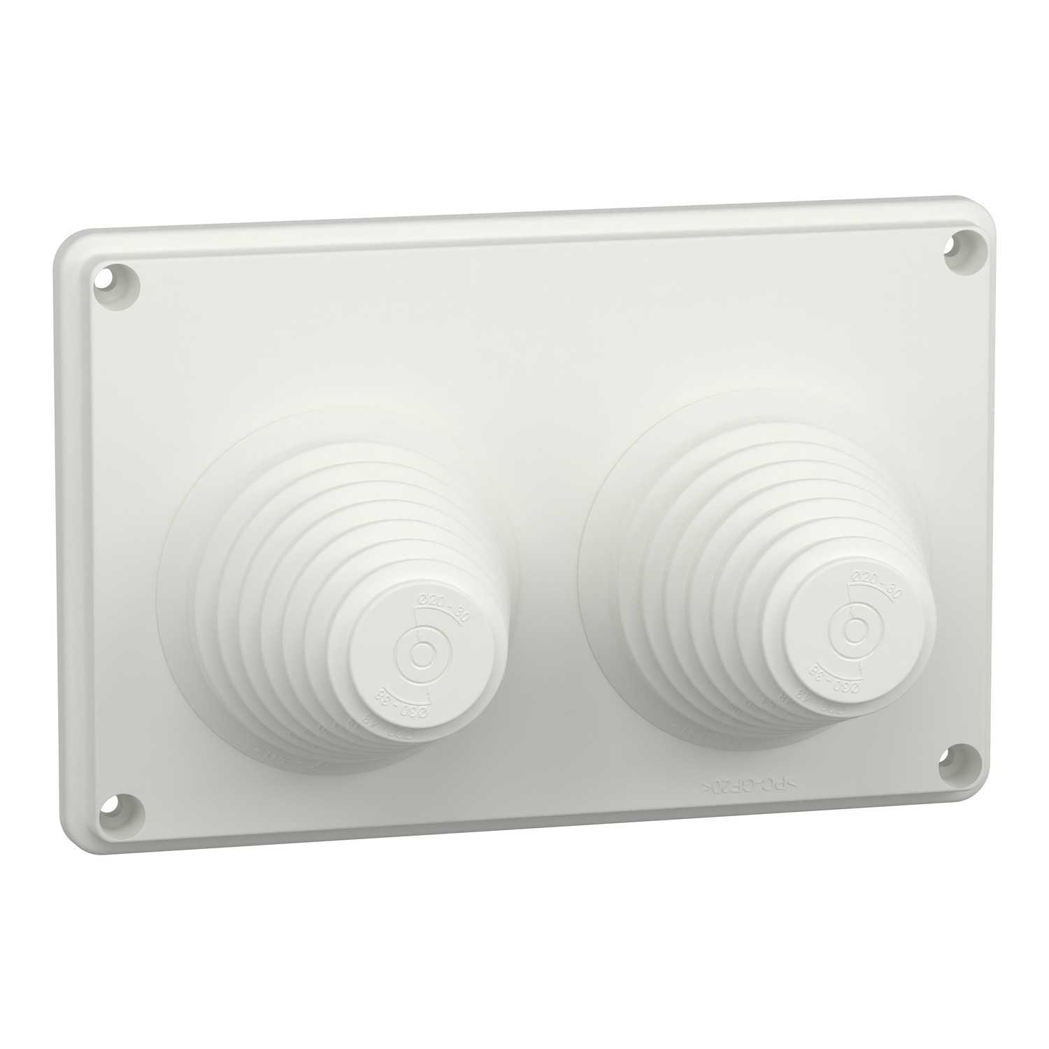 Schneider Electric - Flens m/2 Svekkinger-IP55-Pri LVS08899