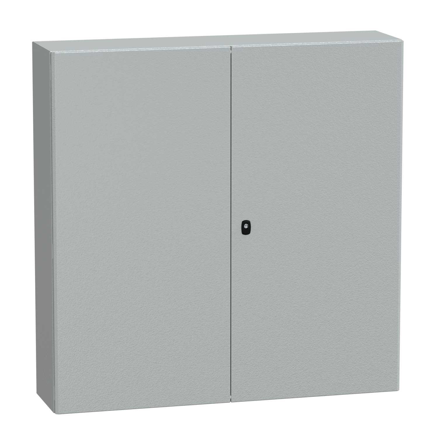 Schneider Electric - NSYS3D121230DP VEGGSKAP 12x12x3 M/PLATE