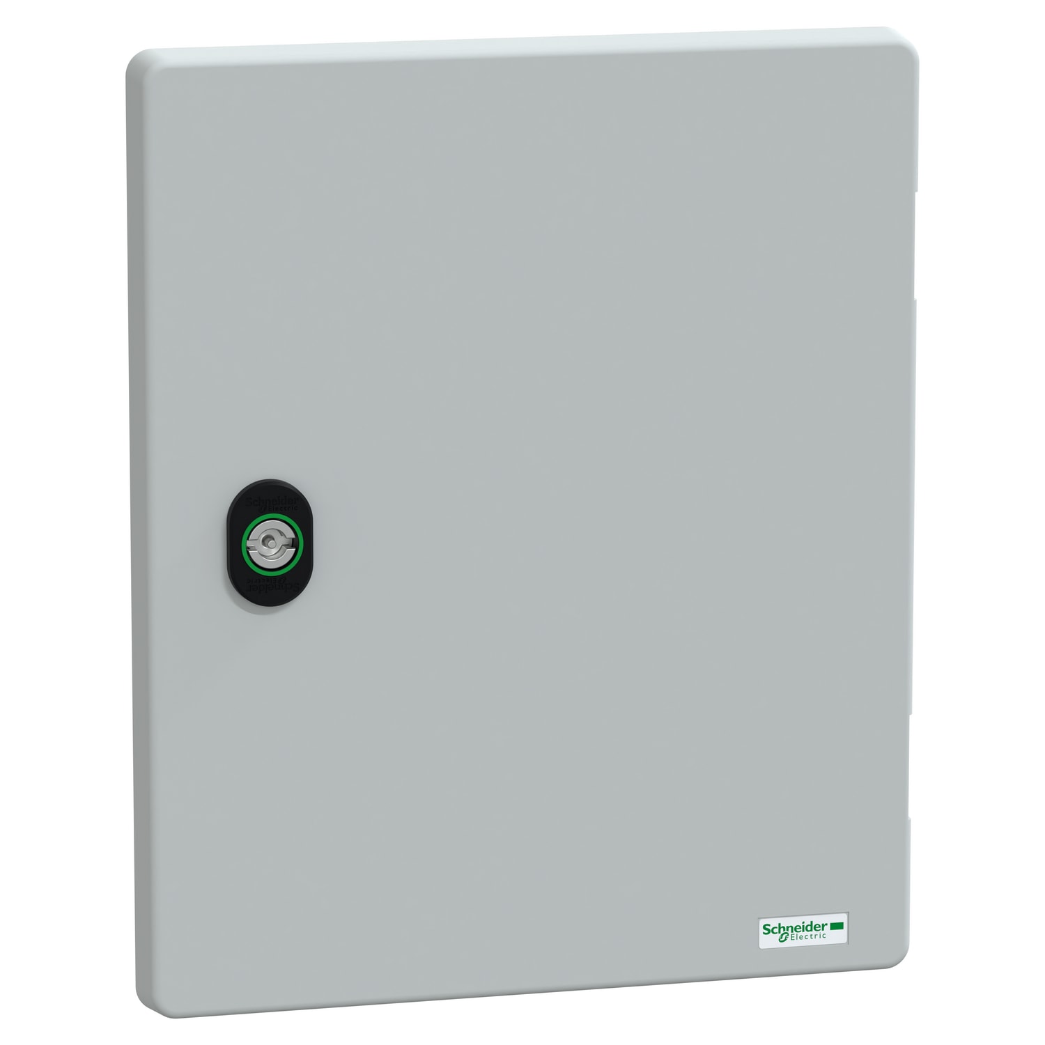 Schneider Electric - Dør, Thalassa PLM, for NSYPLM3025G, farge RAL7035