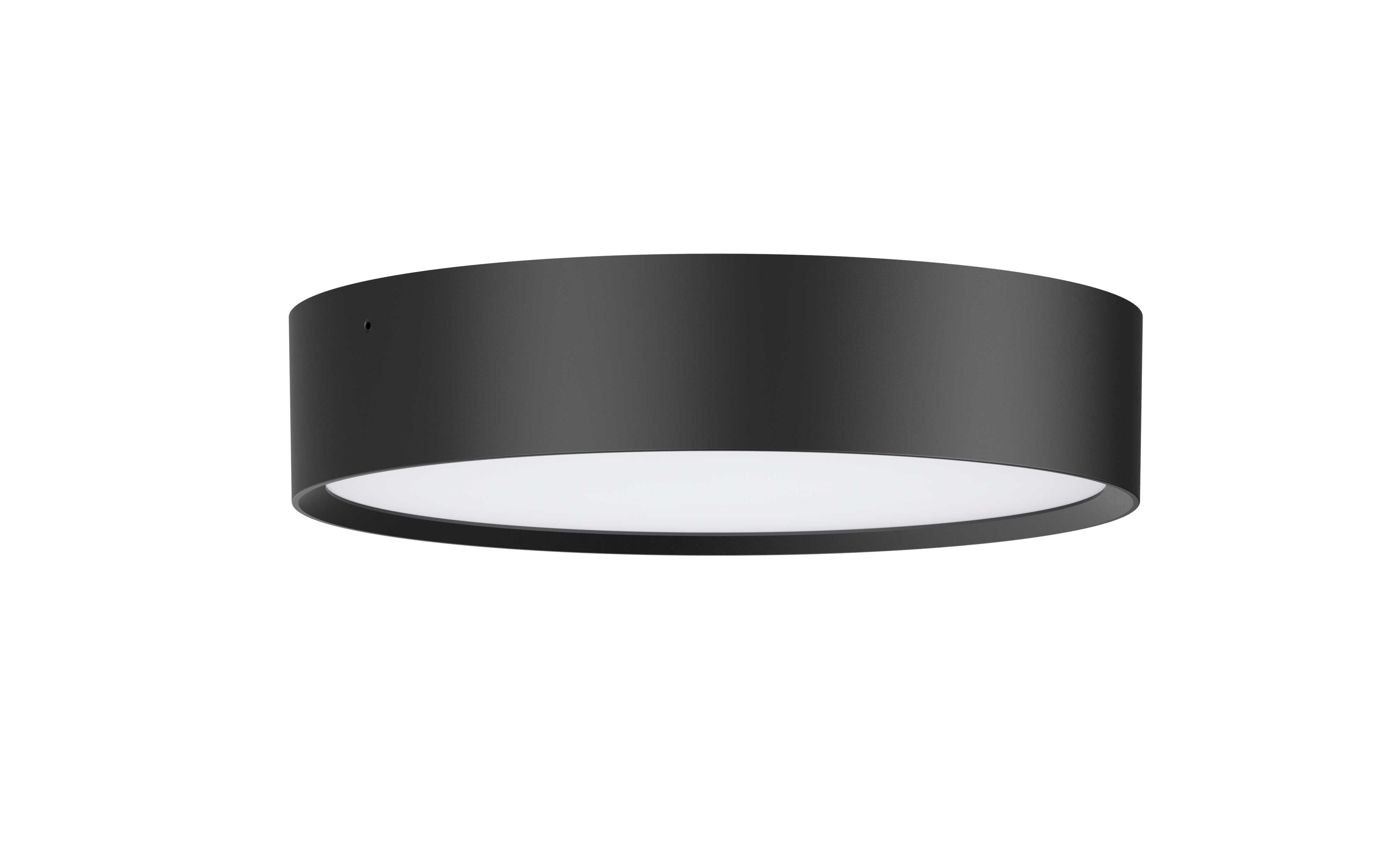 Aneta Lighting - MANDAL PLAFOND SORT 2CCT 2700/3000K 12W IP65 IK10
