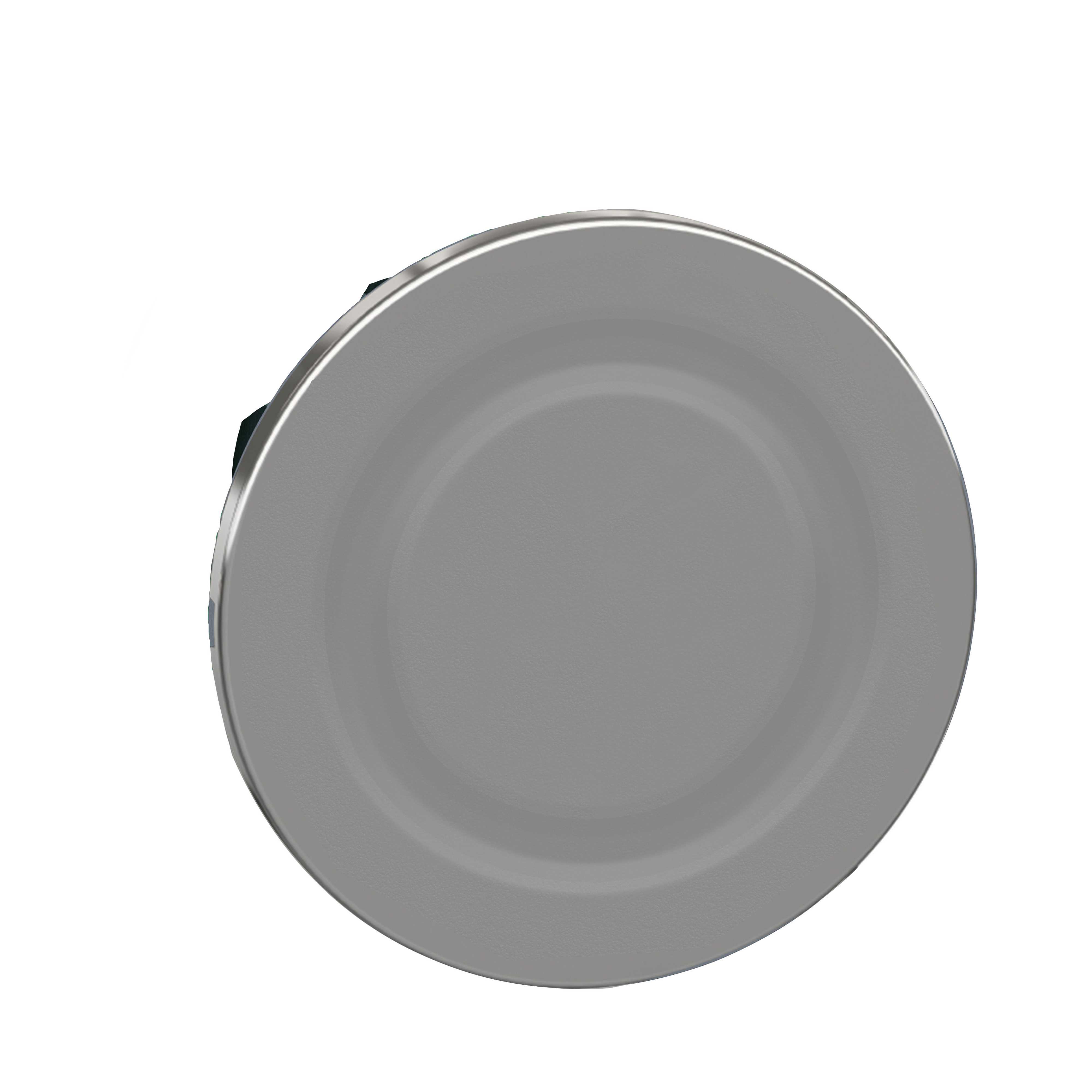 Schneider Electric - Blindplugg i metall for Ø30 mm trykknapper til flush montasje