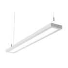 Glamox - C70-P1280 40/60 LED 5800 DALI 830 CSD PRE CP2 MP