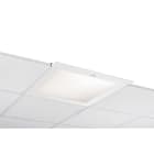 Glamox - C70-R600 G2 LED 4300 DALI-D 8