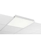 Glamox - C90-R600x600 LED 4000 DALI 840 LI OP