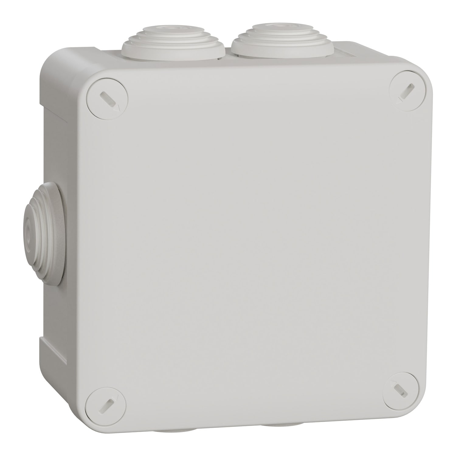 Schneider Electric - Mureva Box - boite de dérivation avec embouts - 105x105x55 - IP55 - blanc polair