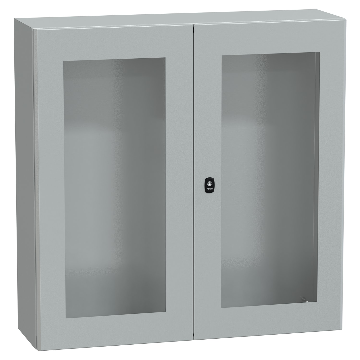 Schneider Electric - NSYS3D101030DT VEGGSKAP MED VINDU 10X10X3 2D