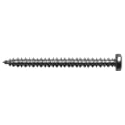 Haupa - Monteringsskrue panhode, torx 4,8x40mm