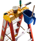 Werner - Paint Cup