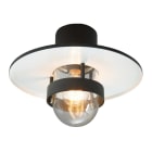 Norlys - Bergen 271 Sort