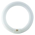 Philips - TL-E 22W/840 1CT/12