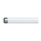 Philips - TL-D 58W/830 1PP/10