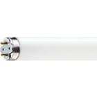 Philips - MASTER TL-D Xtra 36W/830 SLV/25