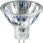 Philips - Brill 20W GU5.3 12V 24D 1CT/1