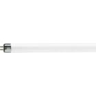 Philips - TL Mini 8W/33-640 FAM/10X25BOX