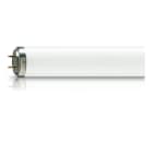 Philips - TL 40W/10 Actinic Fluefanger