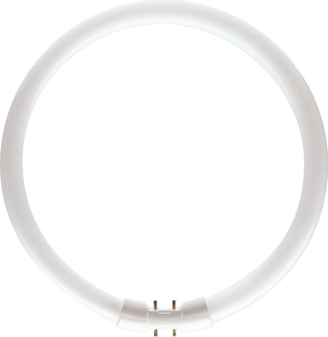 Philips - MASTER TL5 Circular 60W/840 1CT/10
