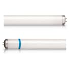 Philips - Actinic BL TL-D 18W/10 Secura 1SL/25