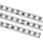 Q-Light - Q-LINE PRO 14,4W 4000K IP20 5m