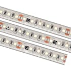 Q-Light - Q-Line Pro 9,6W 3000K IP67 5m Ledstrip 24V