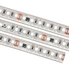 Q-Light - Q-Line Pro 9,6W 4000K IP54 5m Ledstrip 24V