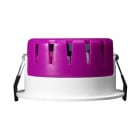 Q-Light - LEO ISOLA 7W LED HVIT NEMKO DL U/KASSE 500LM 2700K RA92 IP54