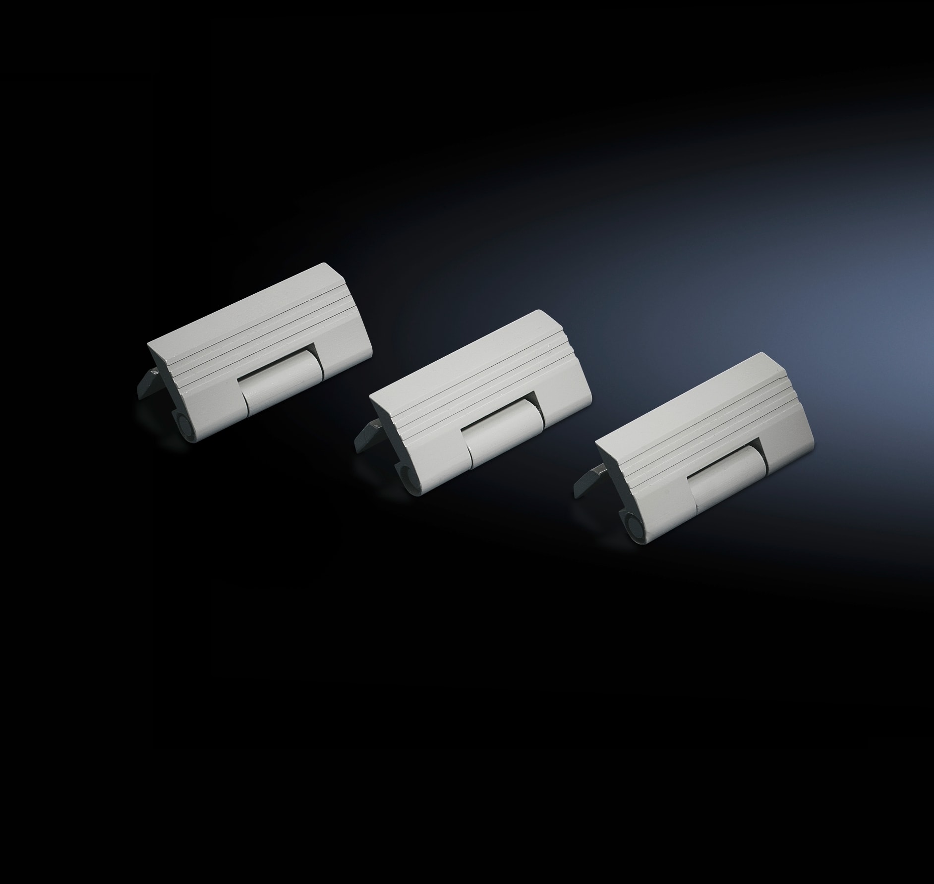 Rittal - Hengsel for sidevegg RAL 7035 6 stk