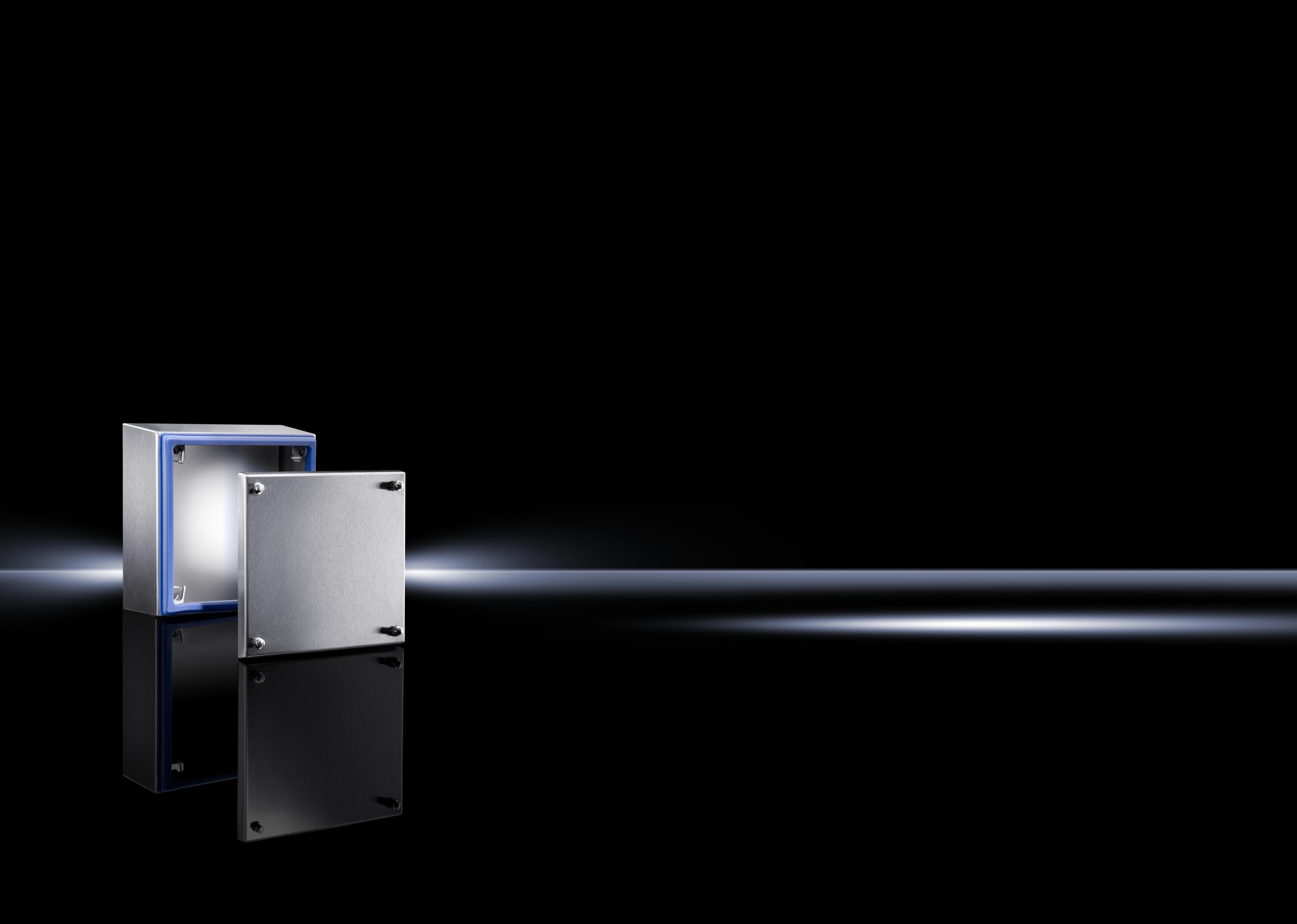 Rittal - HD Kobligsboks 1.4301  IP69K