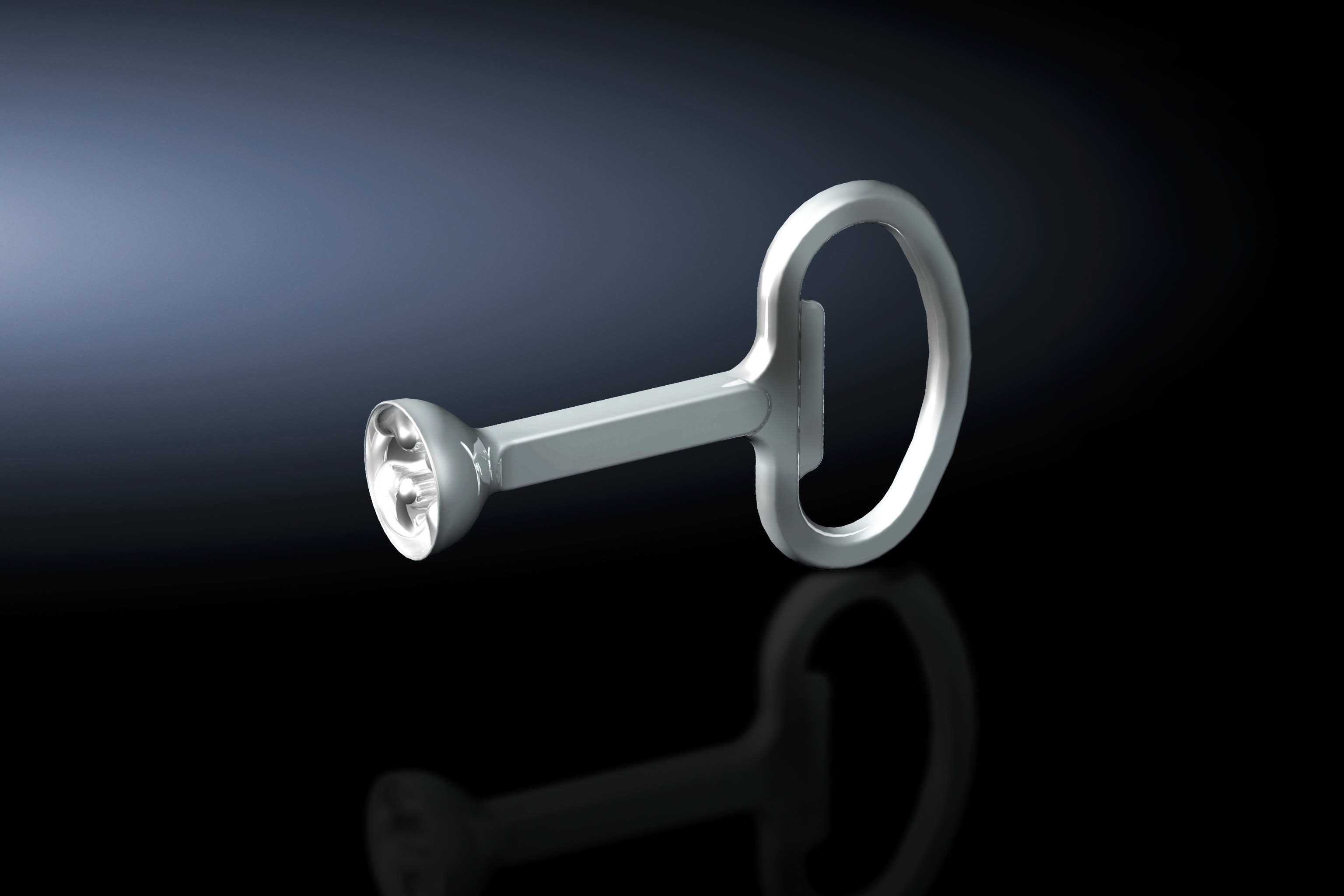 Rittal - HD nøkkel til lås-innsats