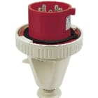 Walther-Werke - Plugg 432-6 IP67 400V