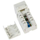Lanse - Keystone for panel/boks/vegguttak UTP Cat6