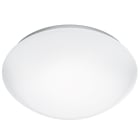 Steinel - RS Pro LED P3 3000K